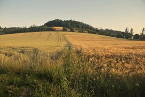 campo solar